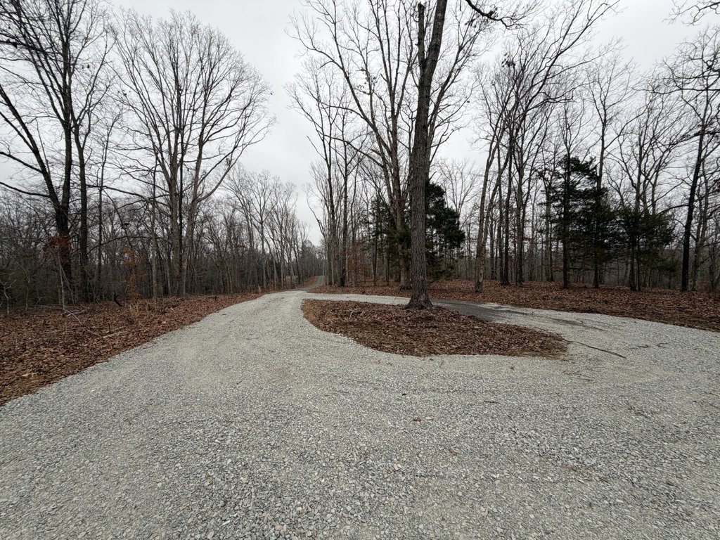 Picture 12