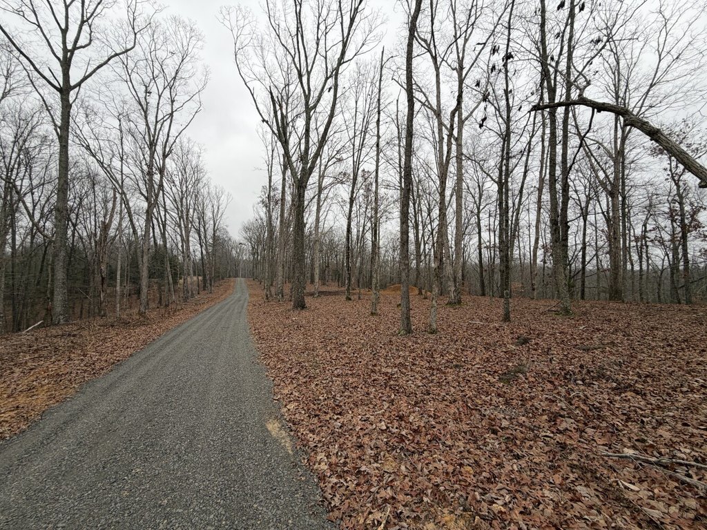 Picture 8