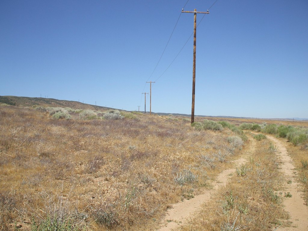 Picture 17