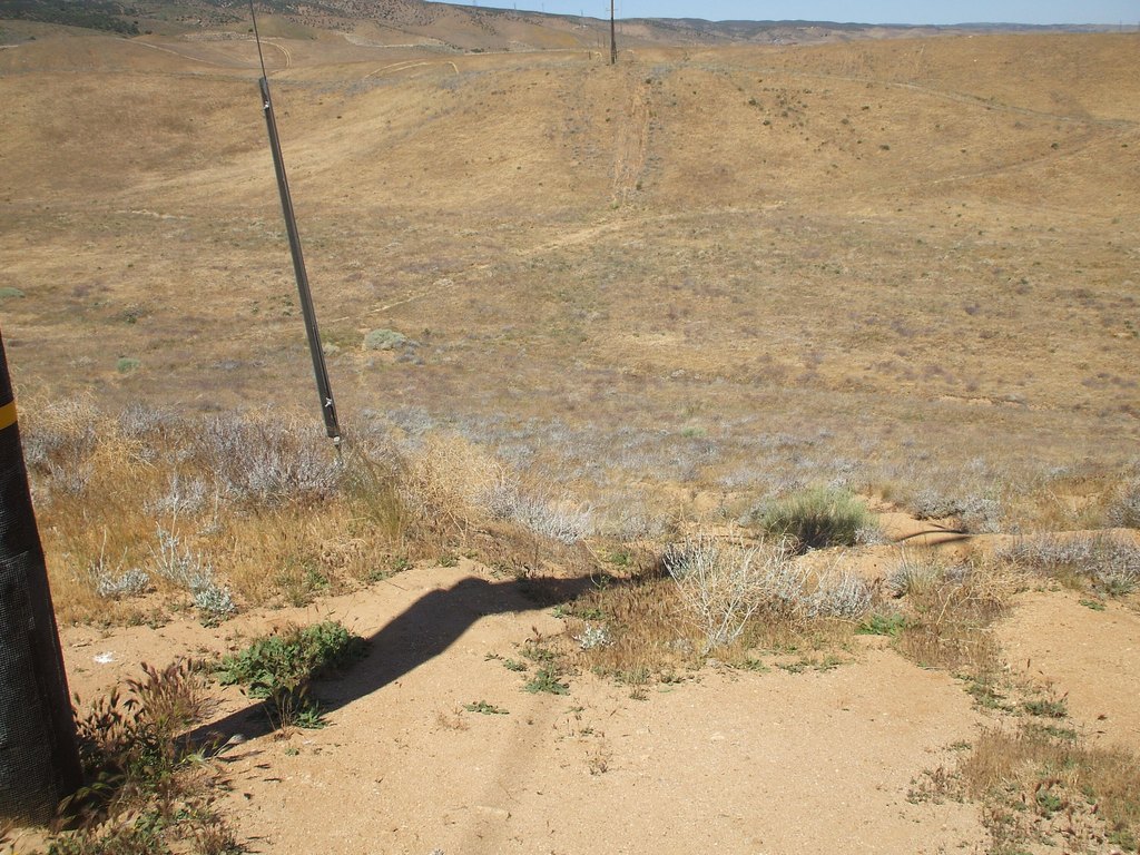 Picture 8