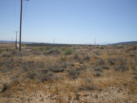 Del Sur Buildable Land Parcel