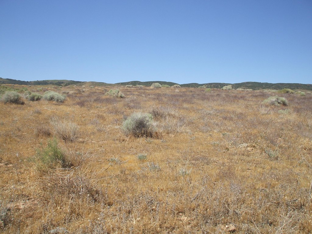 Picture 18