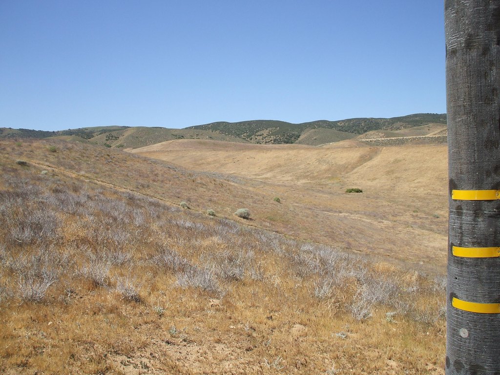 Picture 7