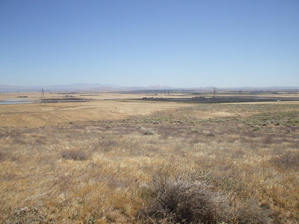 Picture 13
