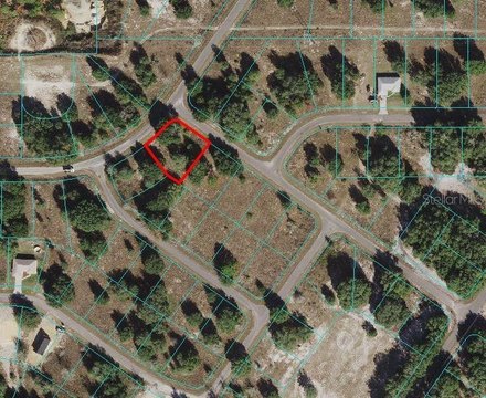 OCKLAWAHA, FL Land For Sale