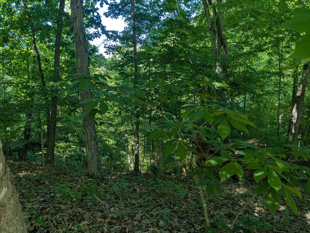 Picture 10