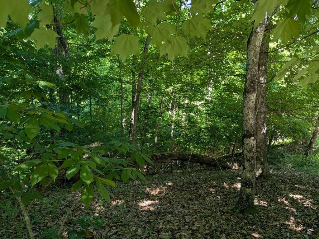Picture 9