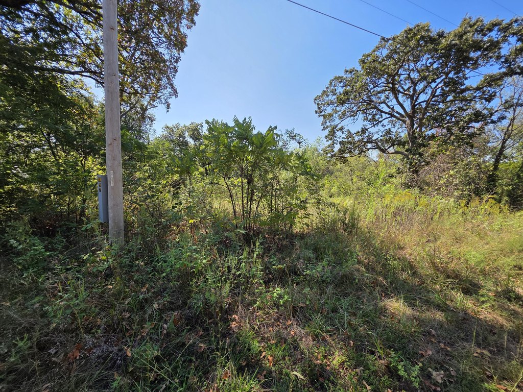 Picture 5