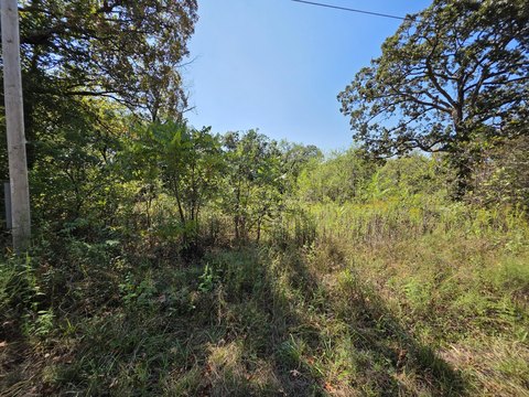 Land, Schell City, MO