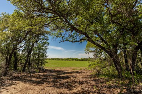 Ranch Land with Hunting Habitat