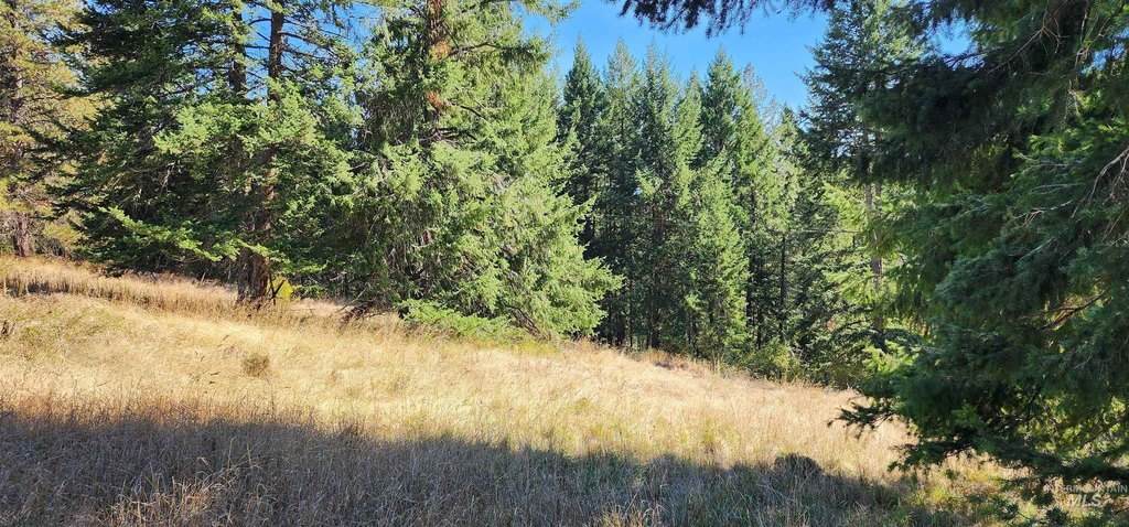 Picture 23