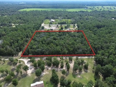 Land, WILLISTON, FL