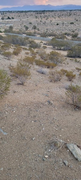 Picture 9
