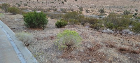 Land, Lancaster, CA