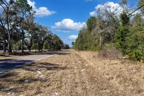 Wooded Land Parcel with Paved Frontage