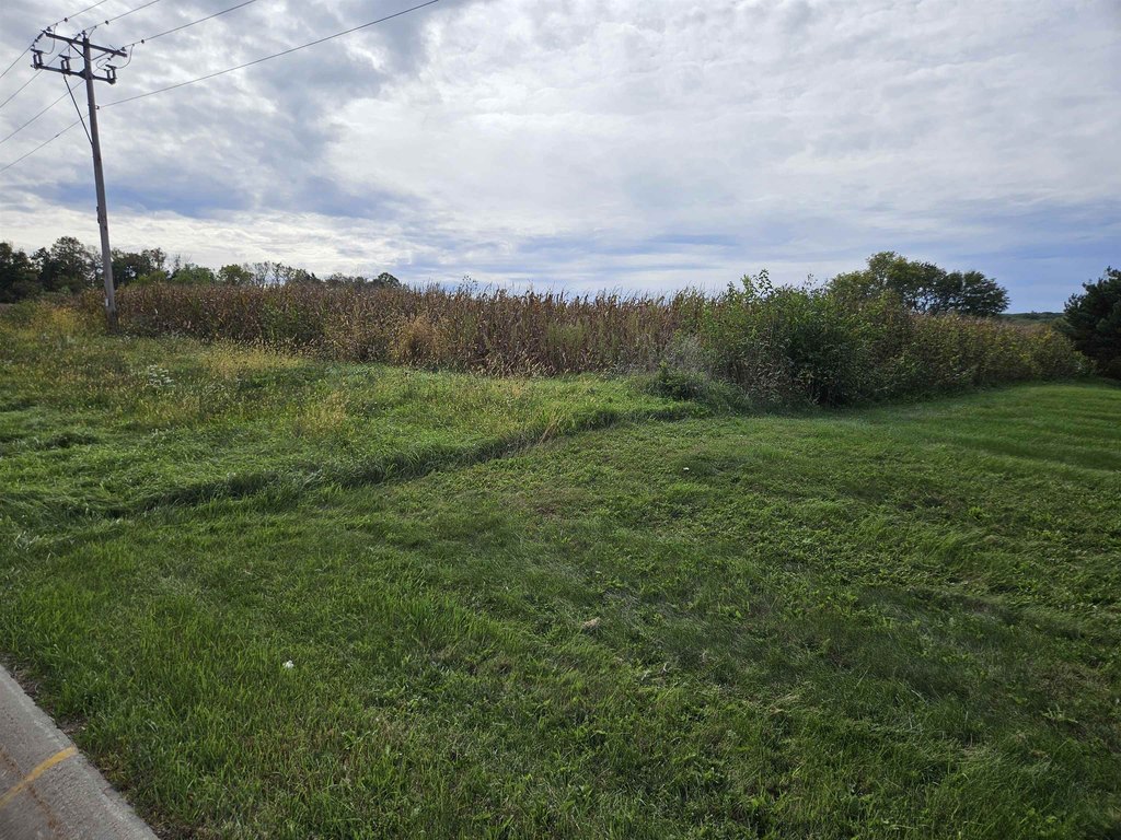 Picture 19