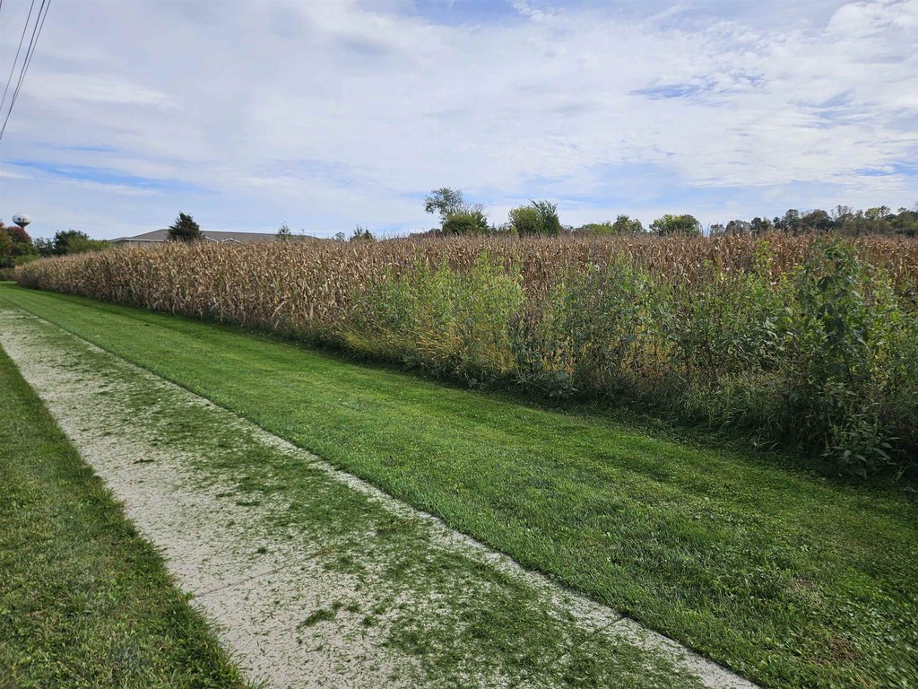 Picture 16