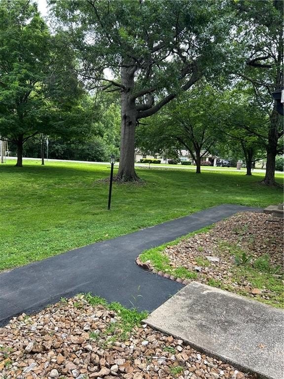 Picture 3
