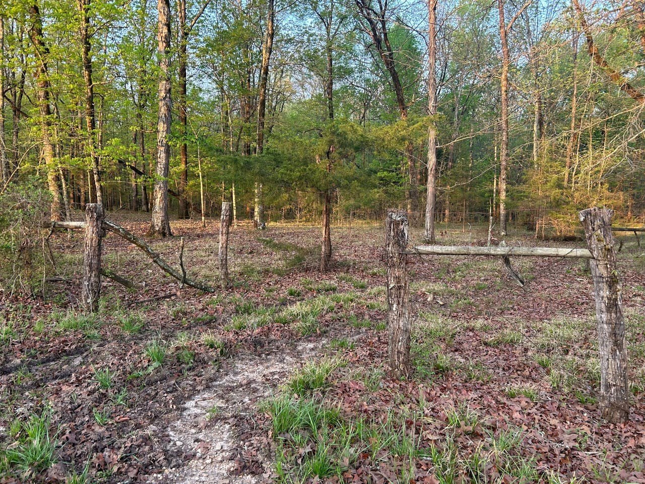 Secluded Hardwood Land in Okolona
