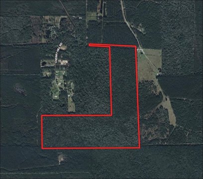 Timber Hunting and Recreation Tract
