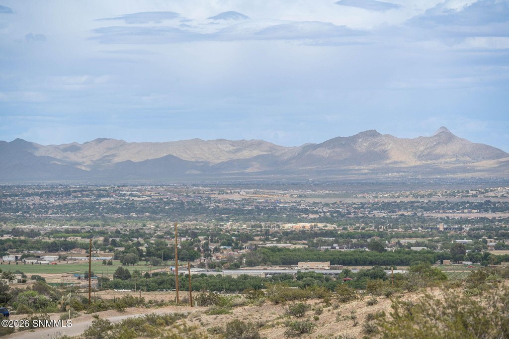 Picture 24