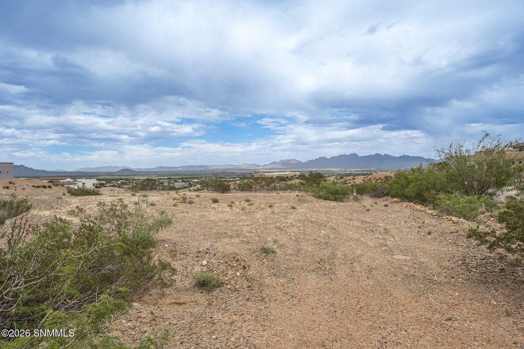 Picture 21