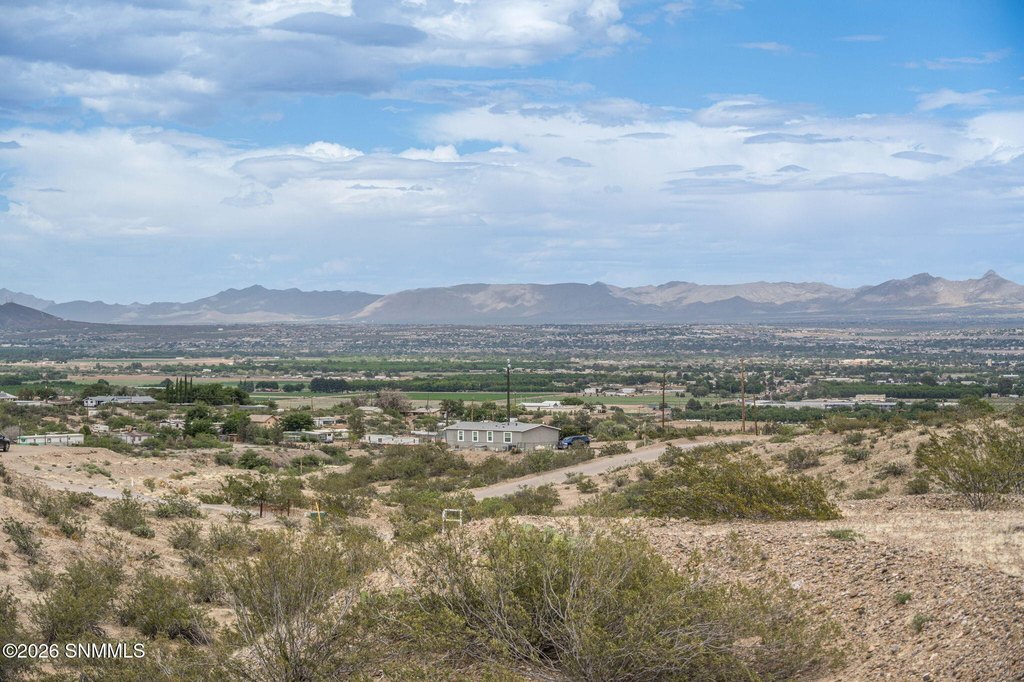 Picture 23
