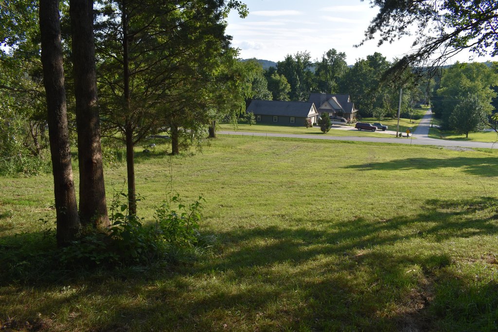 Picture 13
