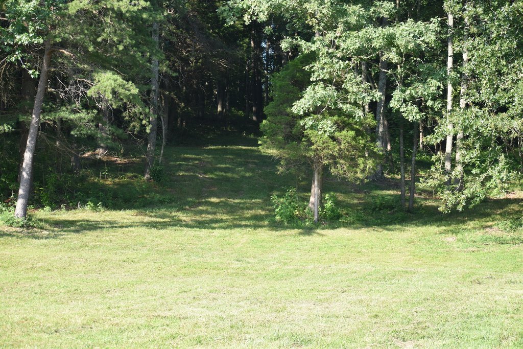 Picture 2