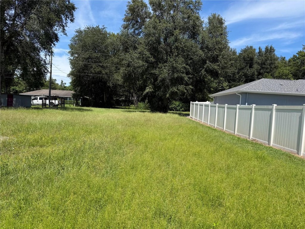 Picture 3