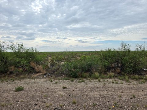 Expansive Land in Pecos, TX