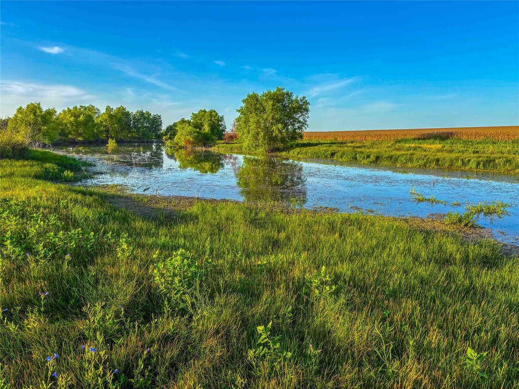 Picture 26