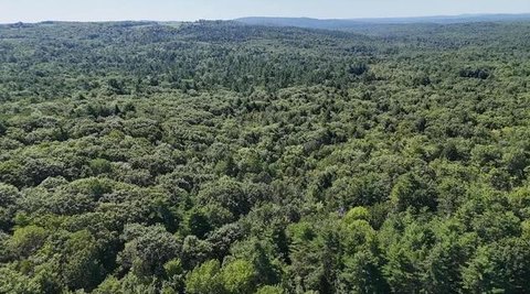LAND - Hebron, ME