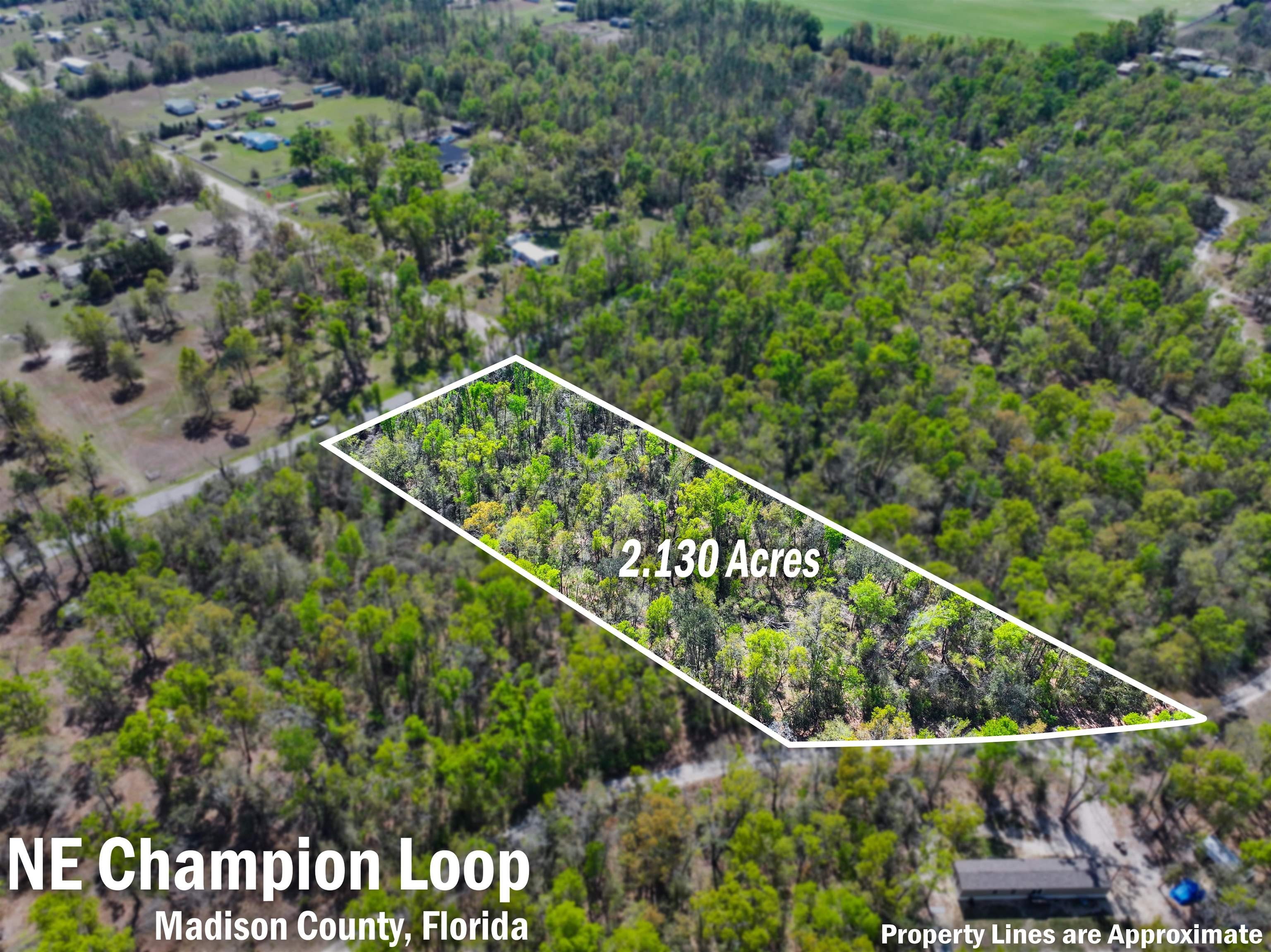 Wooded Lot in Twin River Oaks