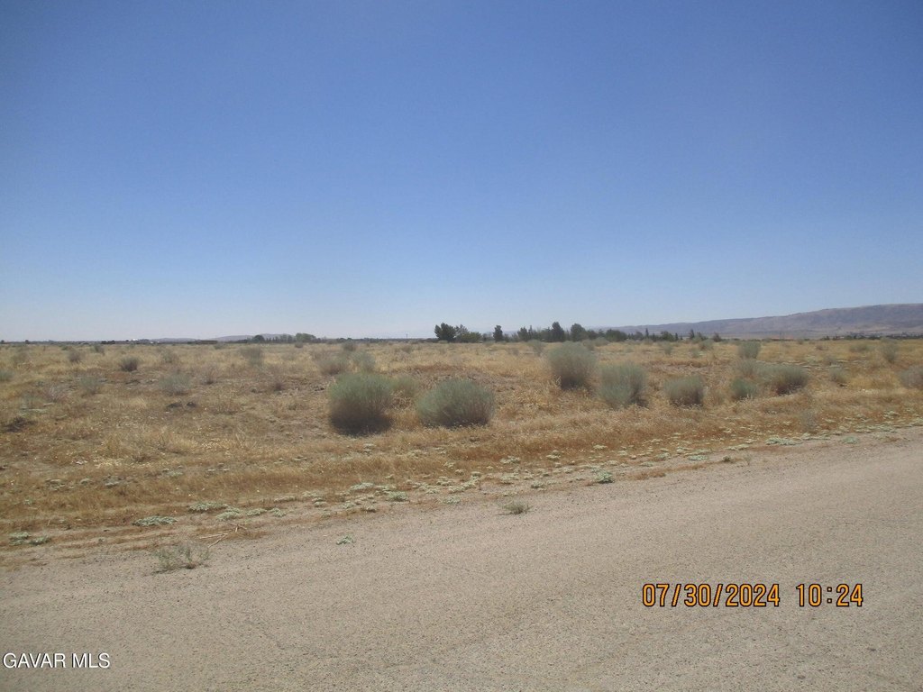 Picture 4