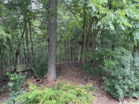 Wooded Lot in Chapel Hill