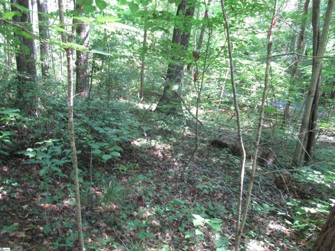 Residential Land in Golf Community