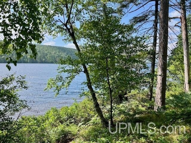 Picture 3
