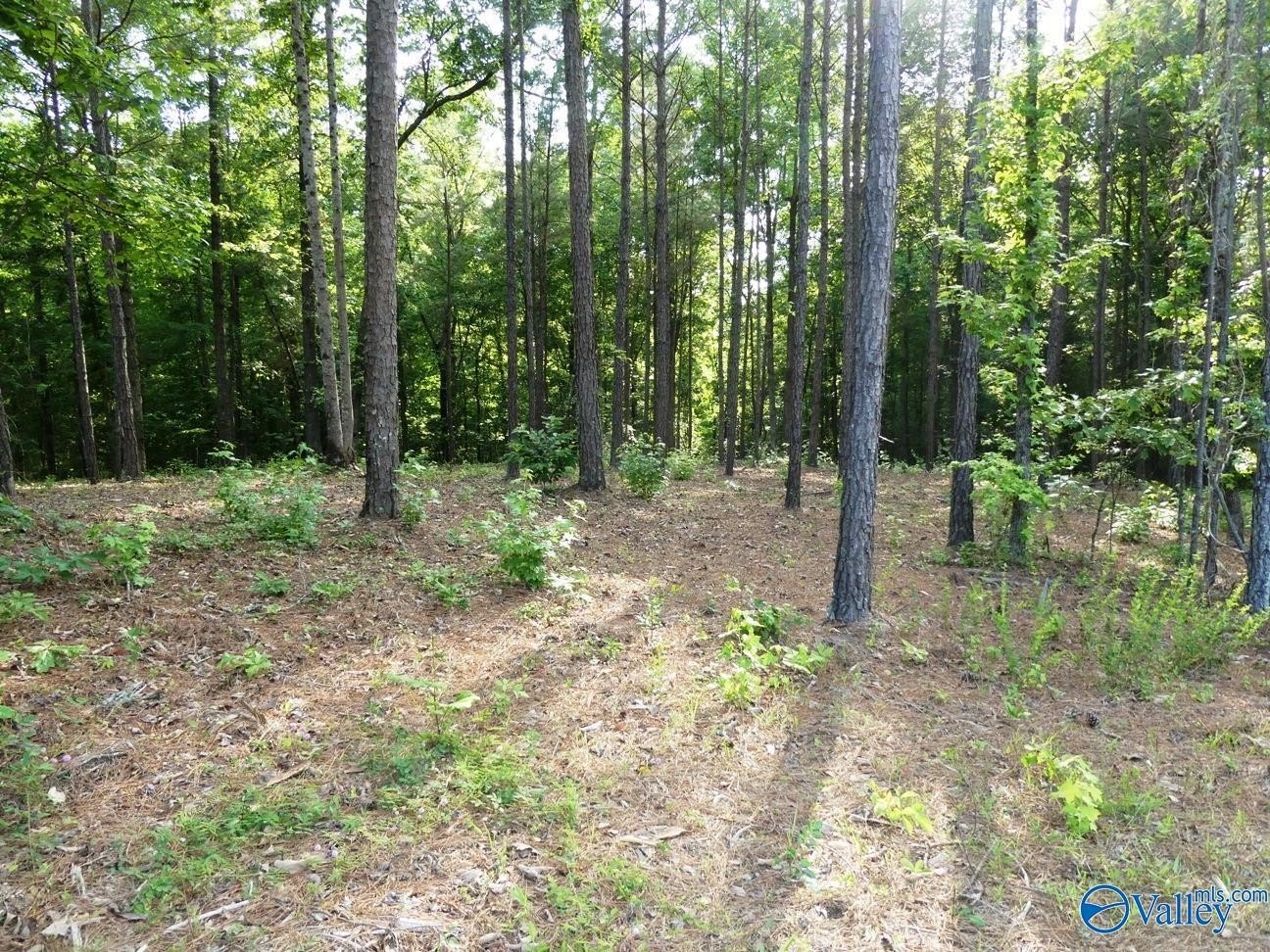Residential Lot Near Lewis Smith
