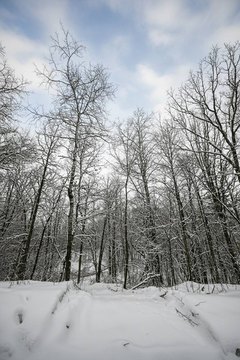 Trego, WI Vacant Buildable Land