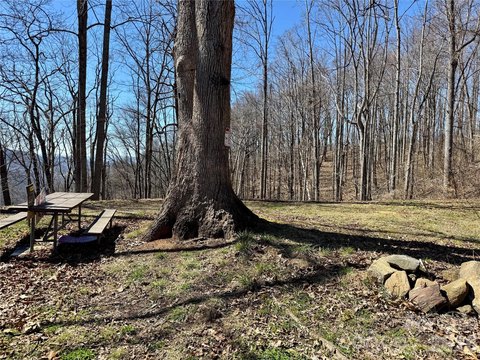 Barnardsville Mountain Land For Sale