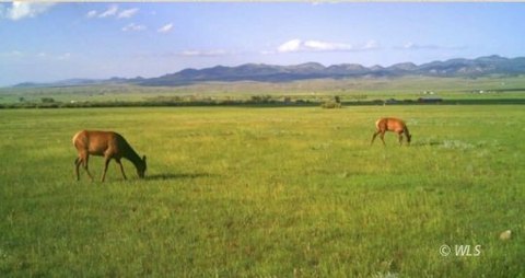 Westcliffe Land with Water Rights