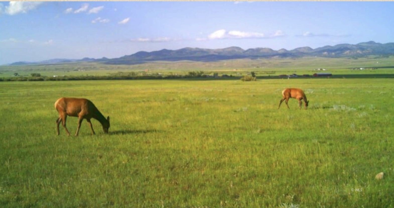 Westcliffe Land with Water Rights