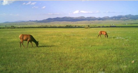 Westcliffe Land with Water Rights