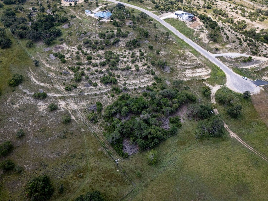 Picture 7