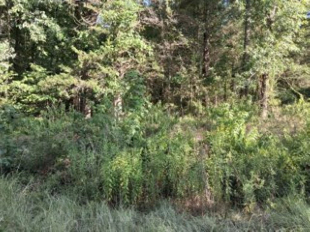 Picture 3