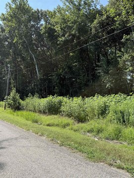 Hunting Land Home Site