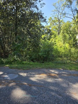Land, Summerville, SC