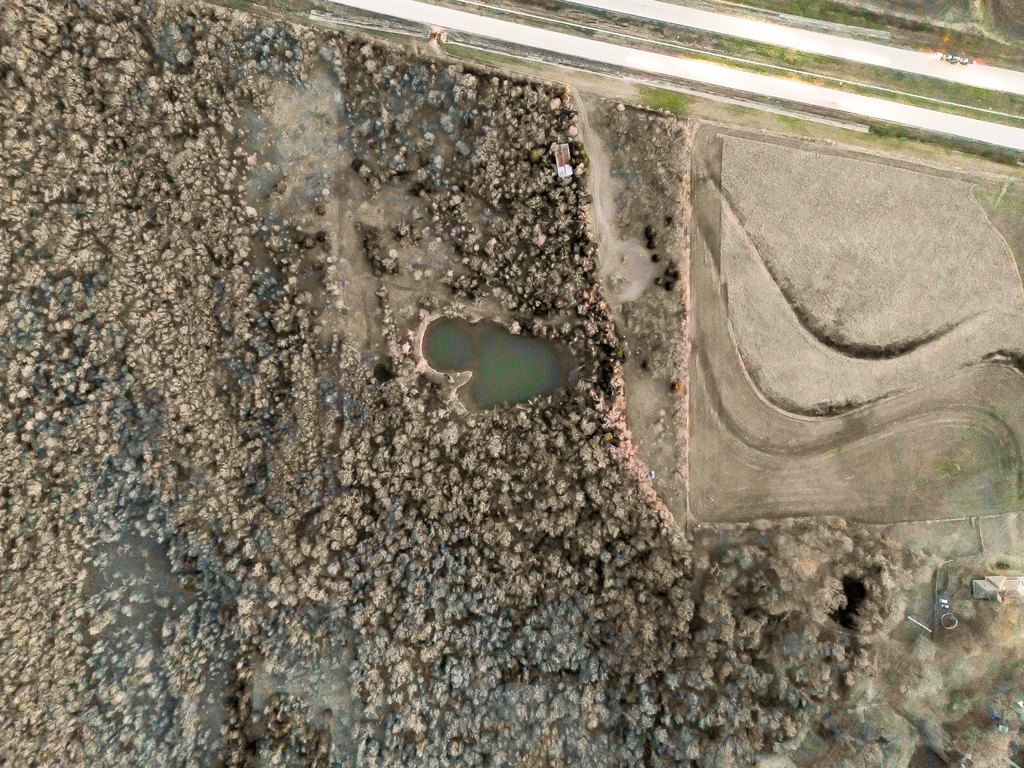 Picture 6