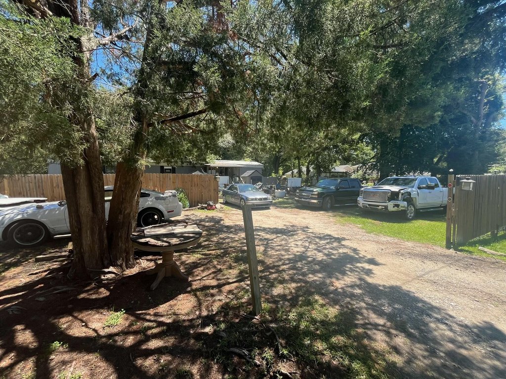 Picture 5